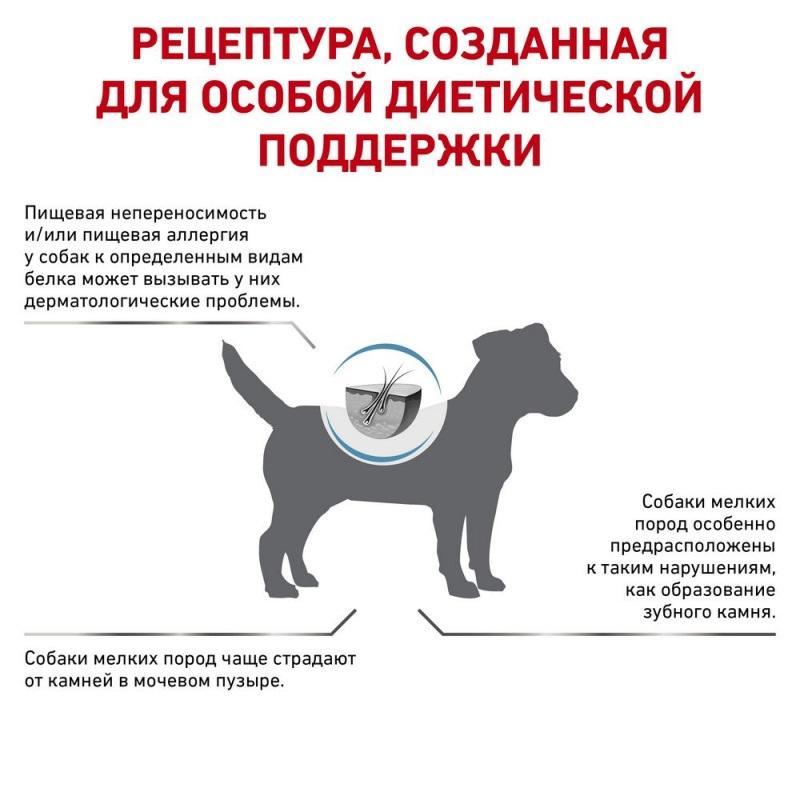 Корм сухой Royal Canin Hypoallergenic для взрослых собак мелких пород, при аллергии, 1 кг