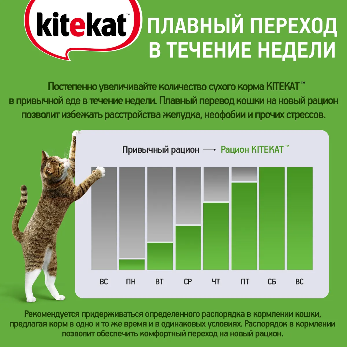Корм сухой Kitekat для взрослых кошек, мясной пир, 800 г