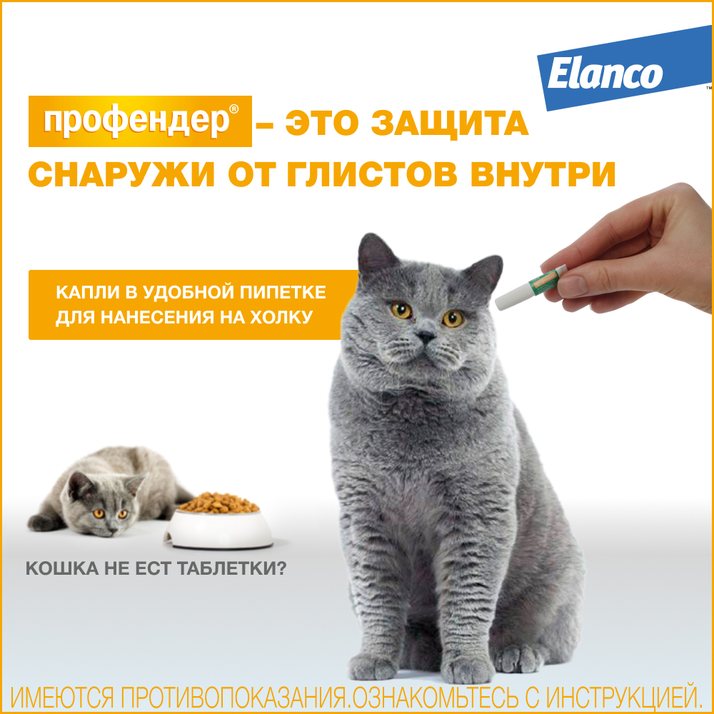 Капли на холку Профендер для кошек весом от 0,5 до 2,5 кг, от гельминтов 1 пипетка
