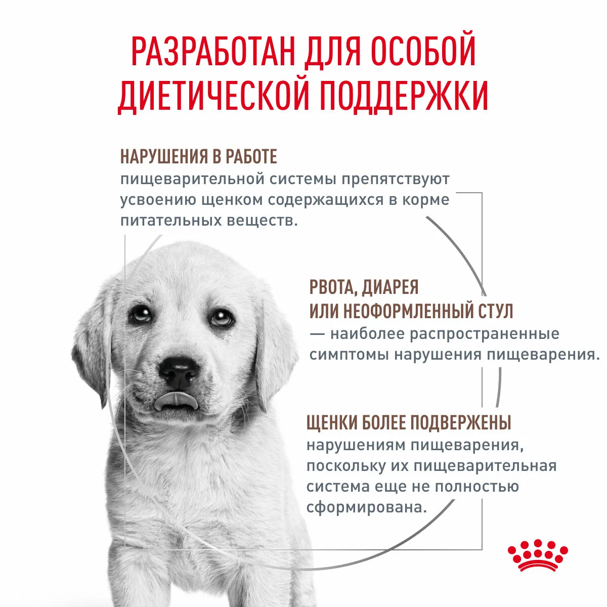 Сухой корм для щенков Royal Canin Gastrointestinal Puppy при острых расстройствах пищеварения 1 кг