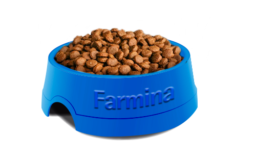 Корм сухой Farmina для взрослых собак мелких пород, с чувствительным пищеварением, с ягнёнком 800 г