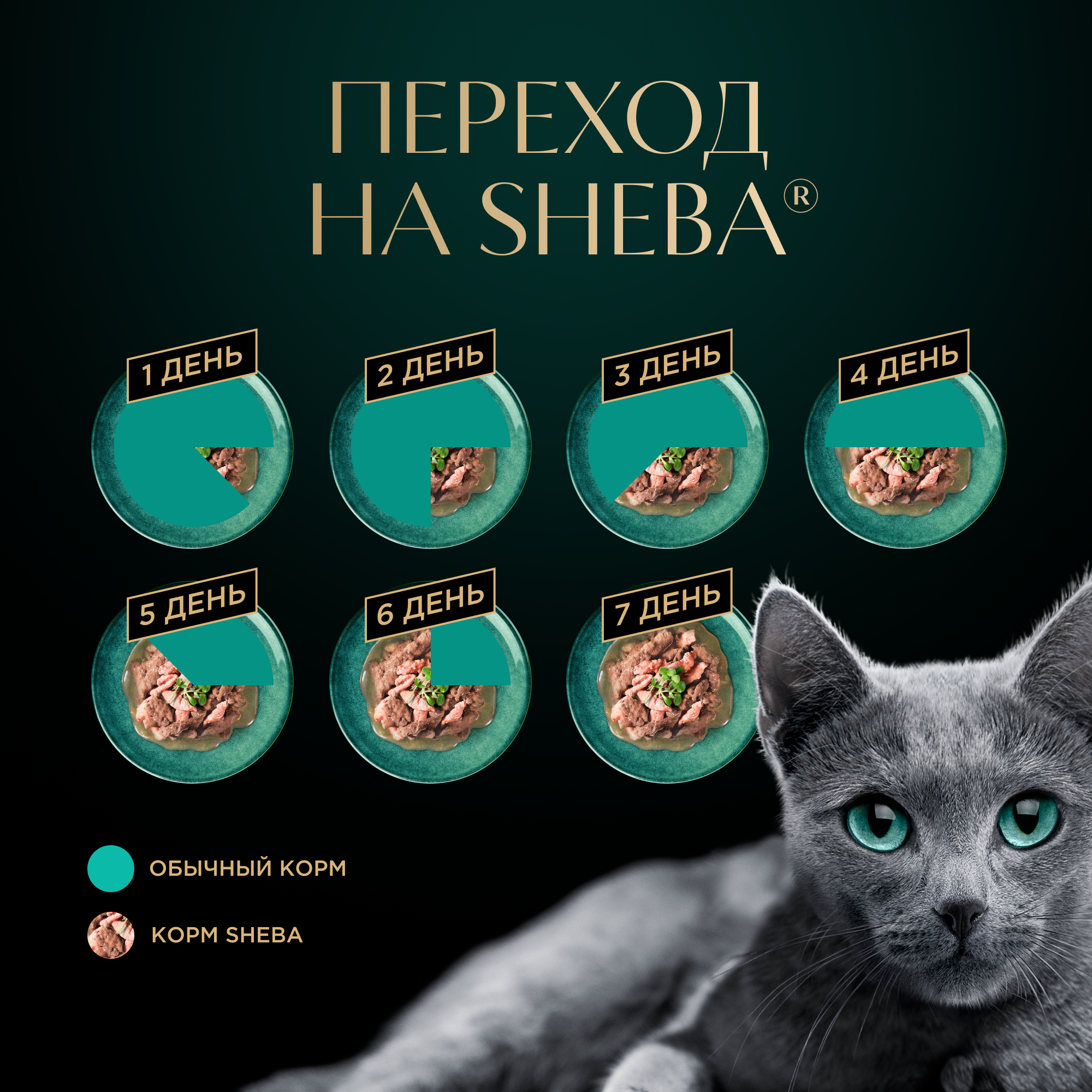 Влажный корм для кошек SHEBA  «Ломтики в Соусе» кролик, индейка, 75г