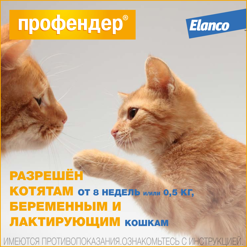 Капли на холку Профендер для кошек весом от 0,5 до 2,5 кг, от гельминтов 1 пипетка