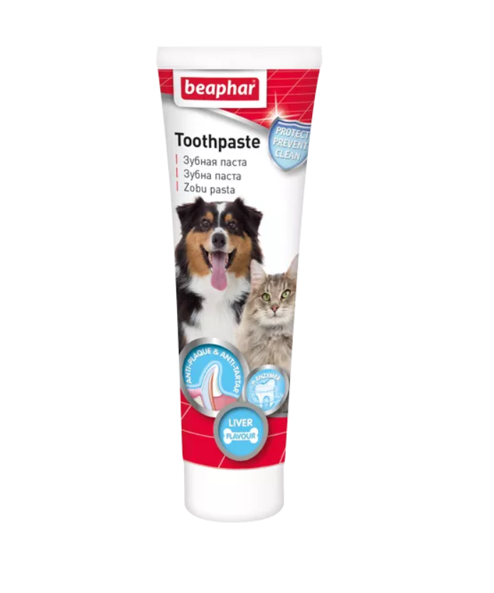 Зубная паста для кошек и собак Beaphar,100г