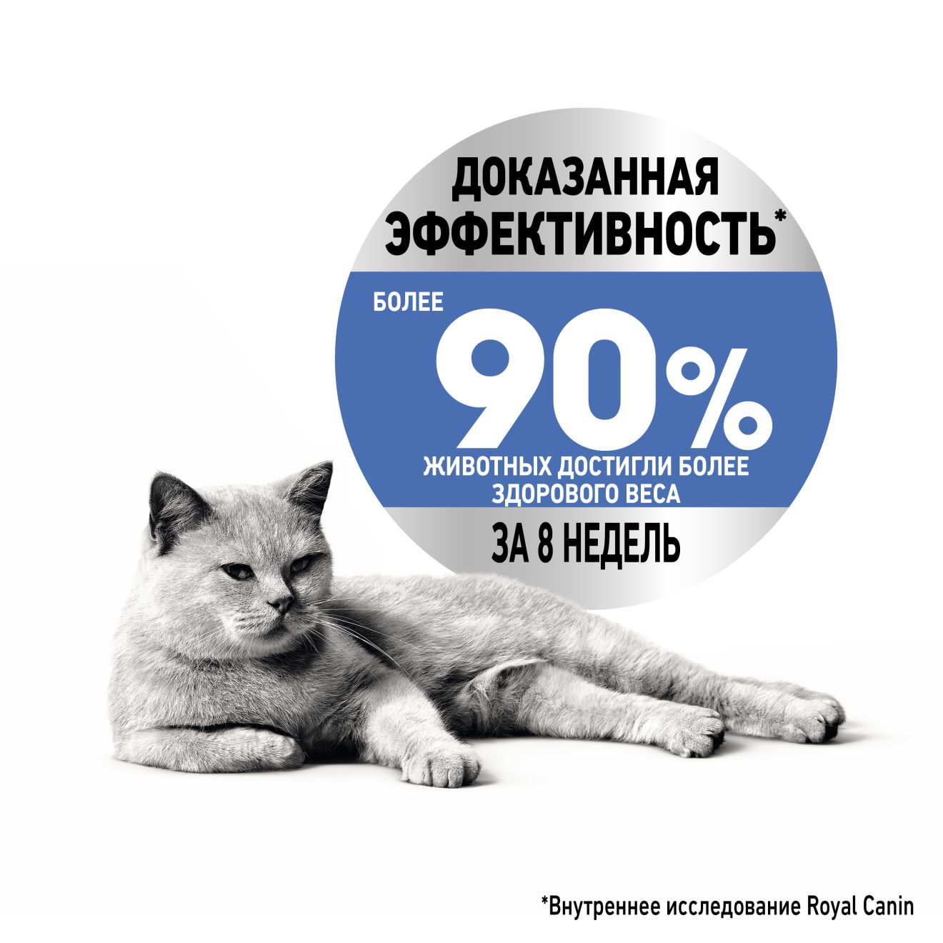 Корм сухой Royal Canin Light Weight Care для взрослых кошек, профилактика лишнего веса, 400 гр.