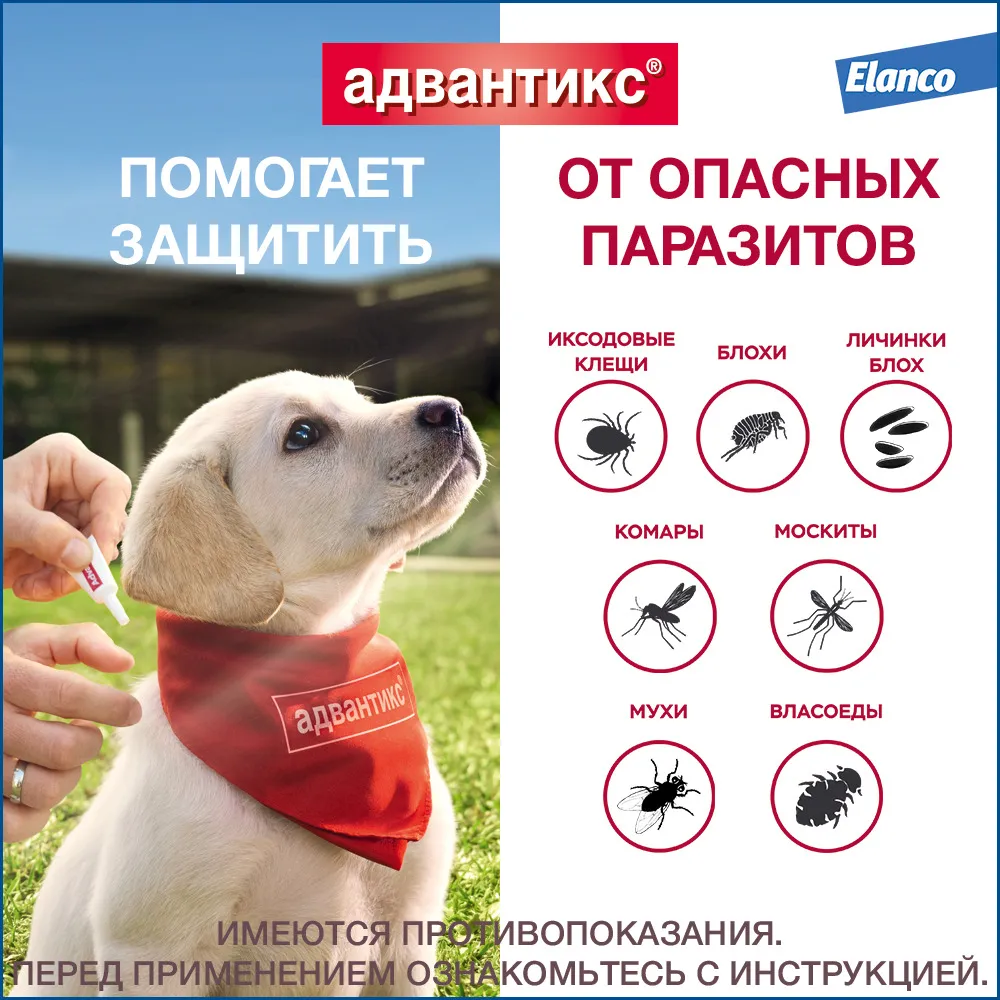 Капли на холку для собак до 4 кг Адвантикс от блох, клещей и комаров 1 пипетка 0,4 мл