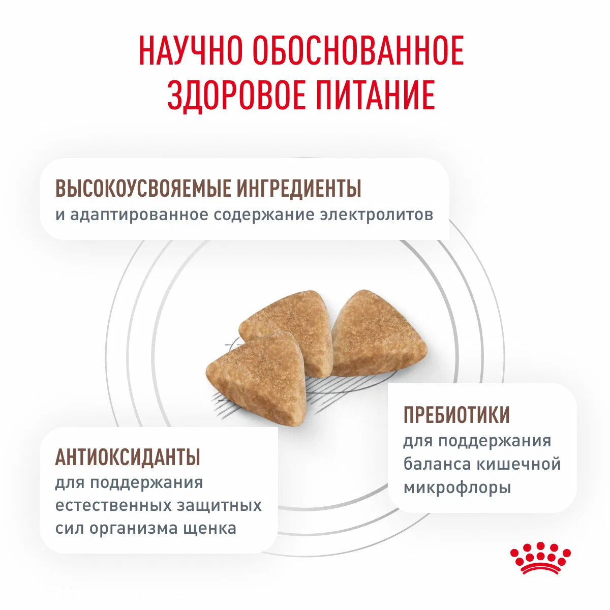Корм сухой для щенков Royal Canin Gastrointestinal Puppy при острых расстройствах пищеварения 2,5 кг