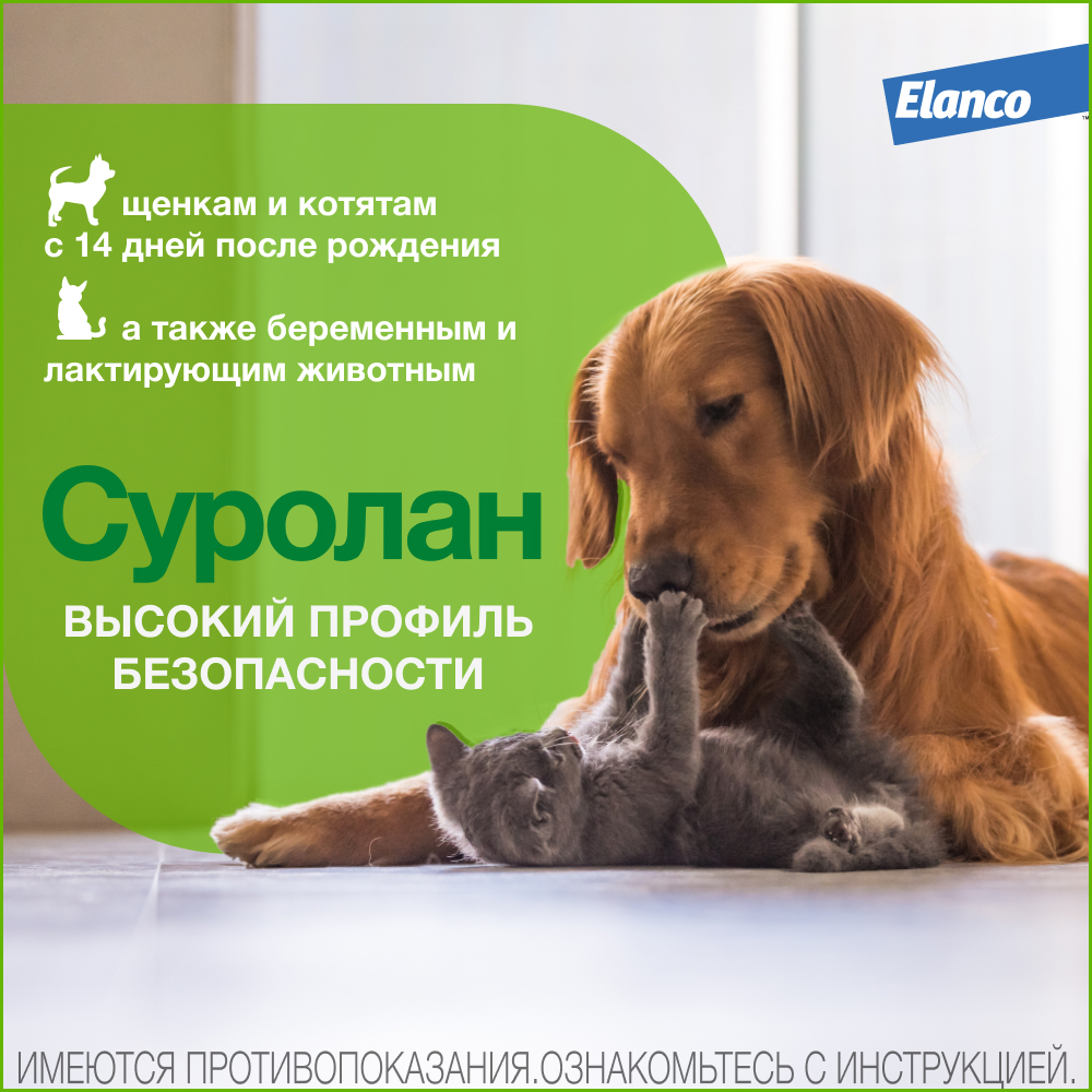 Суролан суспензия для лечения наружного отита и заболеваний кожи бактериальной и грибковой этиологии у кошек и собак – 15 мл