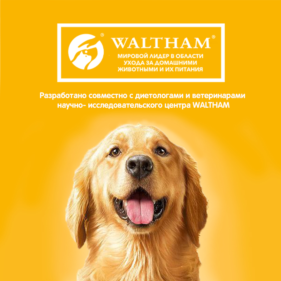 Влажный корм Pedigree для взрослых собак всех пород, с говядиной в соусе, 85 г