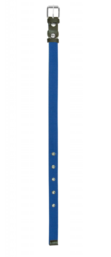 Ошейник для собак Зооник брезентовый 25мм (42-56см), синий