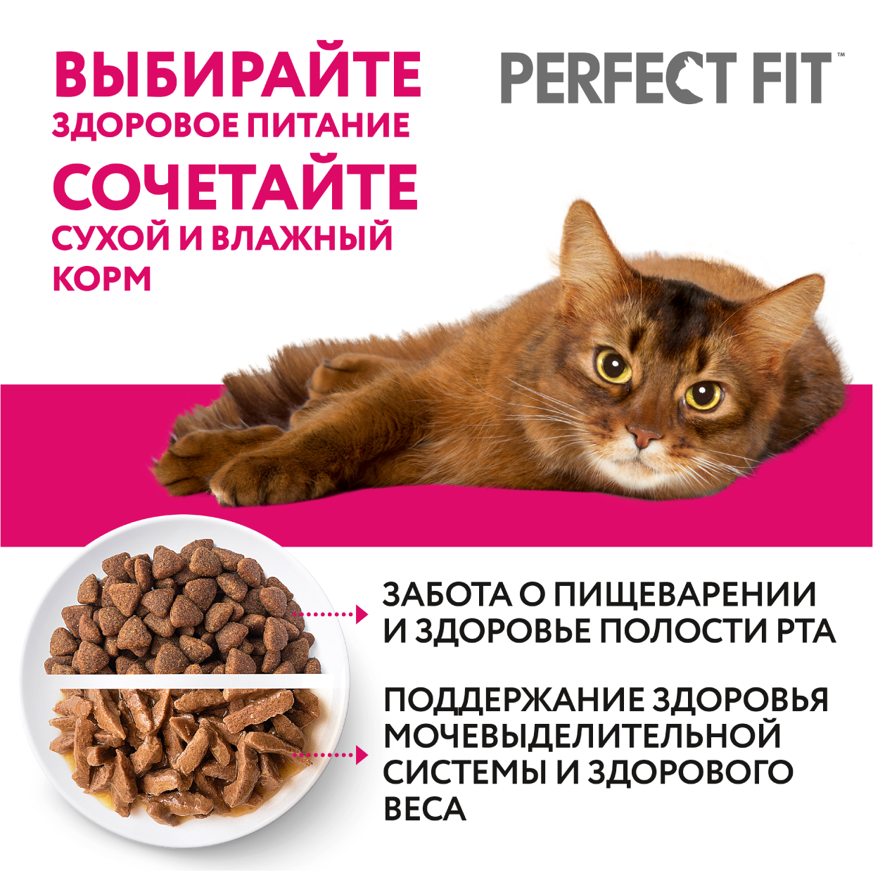 Сухой корм для стерилизованных кошек PERFECT FIT с лососем, 10кг