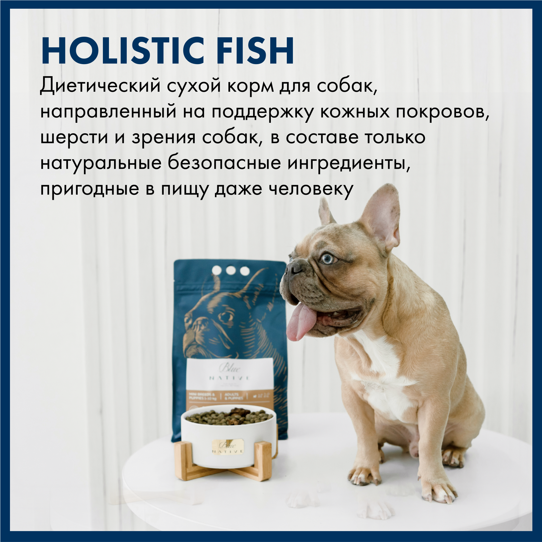 Сухой корм для щенков и собак мелких пород Blue Native Holistic Fish с лососем и рисом, 500 г