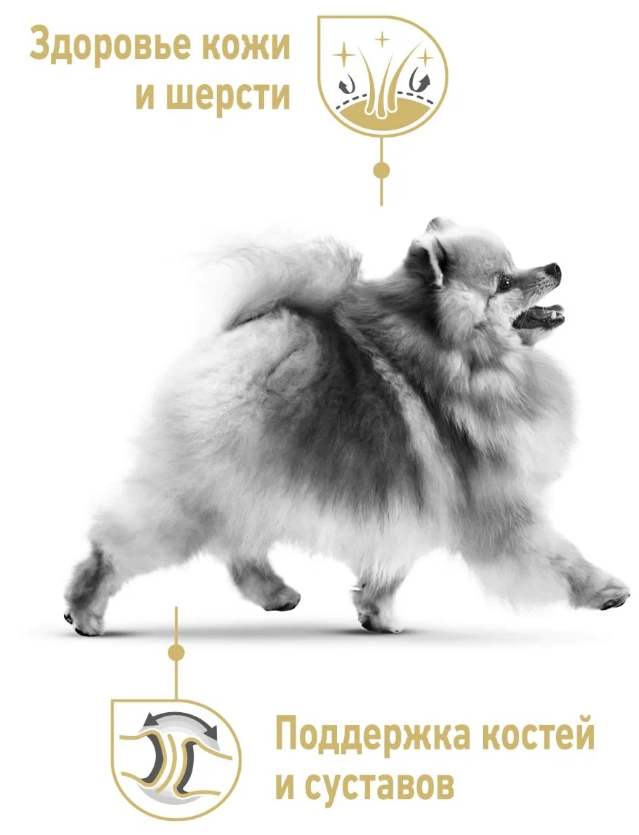 Сухой корм Royal Canin Pomeranian Adult для взрослых собак породы Померанский Шпиц 500 г