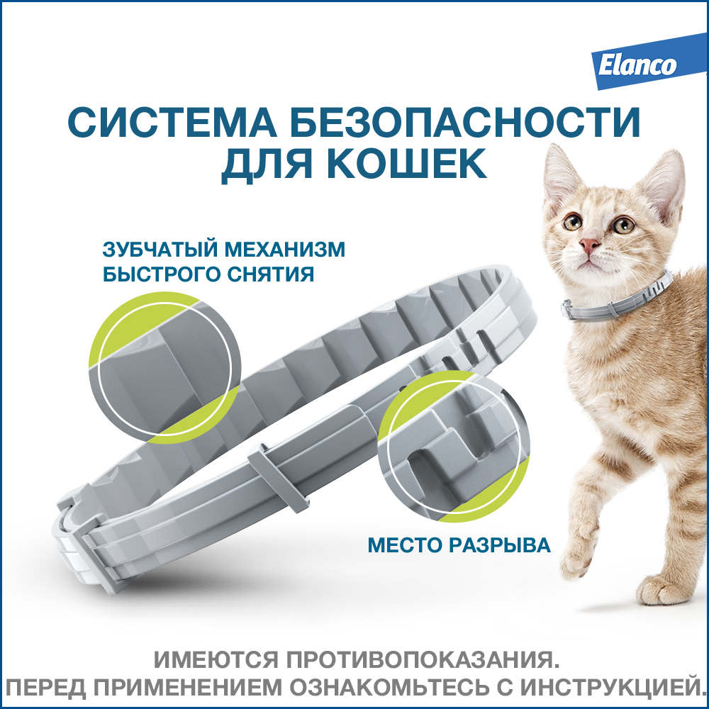 Ошейник Форесто для кошек от блох и клещей защита 8 месяцев, 38 см