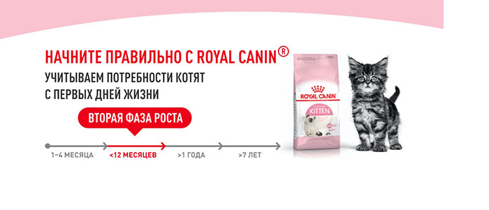 Корм сухой Royal Canin Kitten для котят до 12 месяцев, 300 г