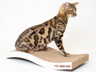 ADD CAT картонная когтеточка Wave 50*22*6,5 см