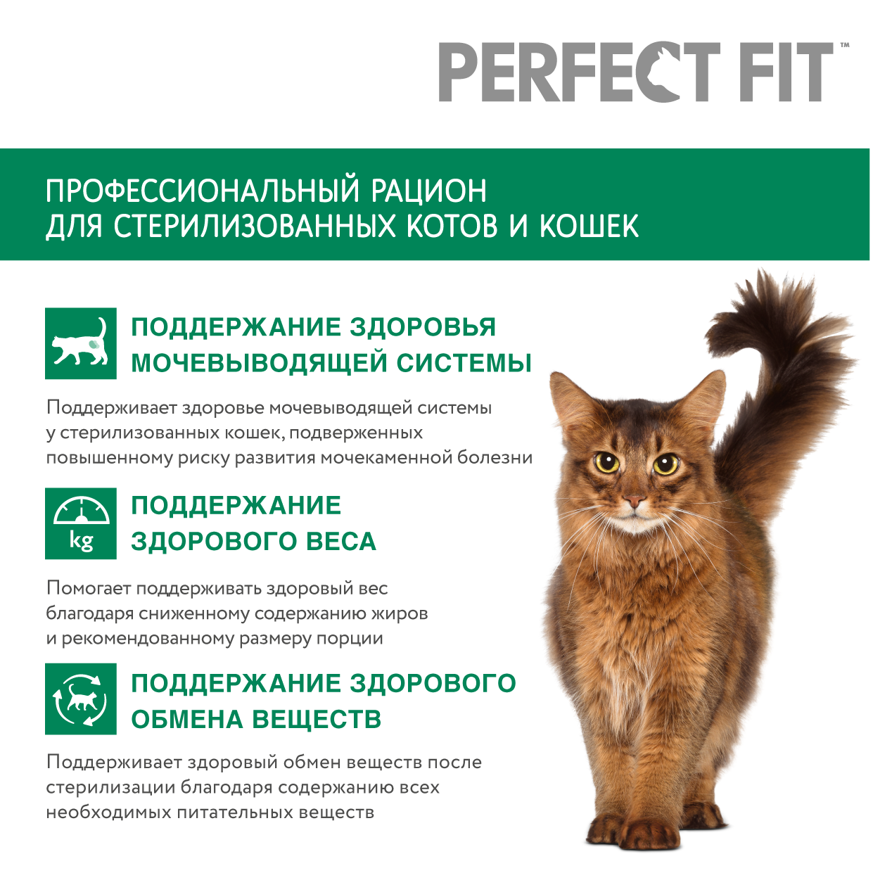 Сухой корм для стерилизованных кошек PERFECT FIT с лососем, 10кг