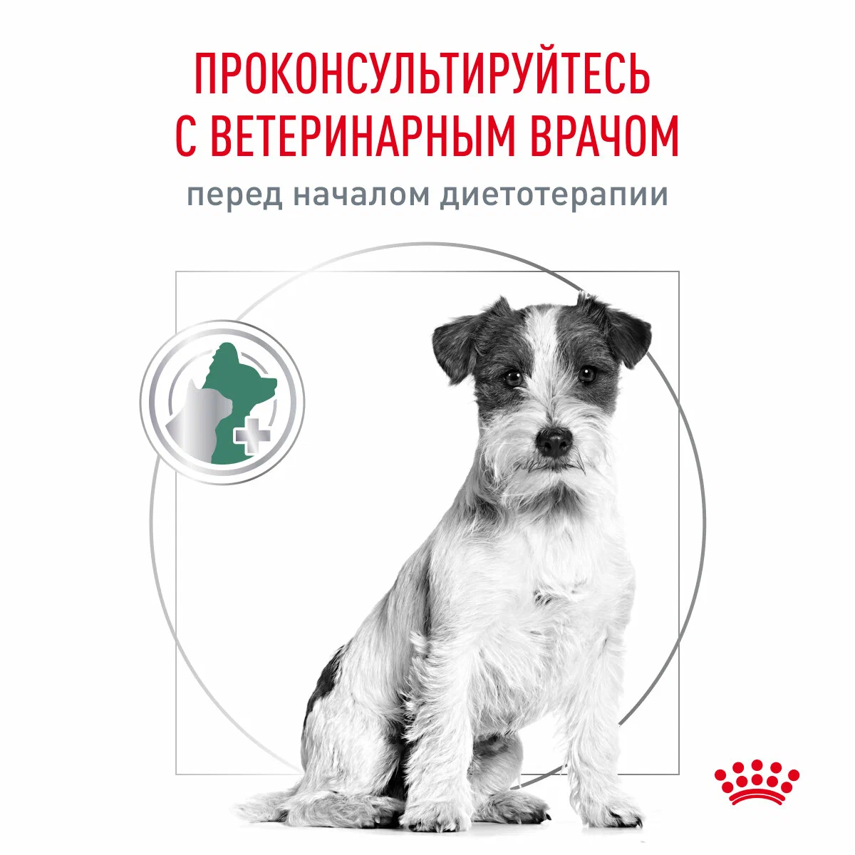 Сухой корм для собак мелких пород Royal Canin Satiety Weight Management Small Dogs 3 кг