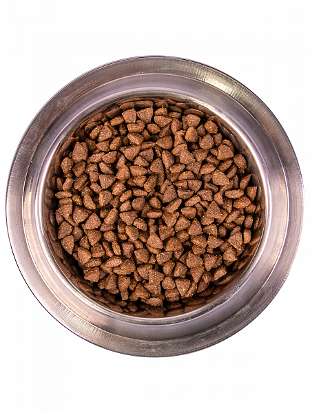 Сухой корм Monge Dog Monoprotein Mini для взрослых собак мелких пород, с ягнёнком,  2,5кг