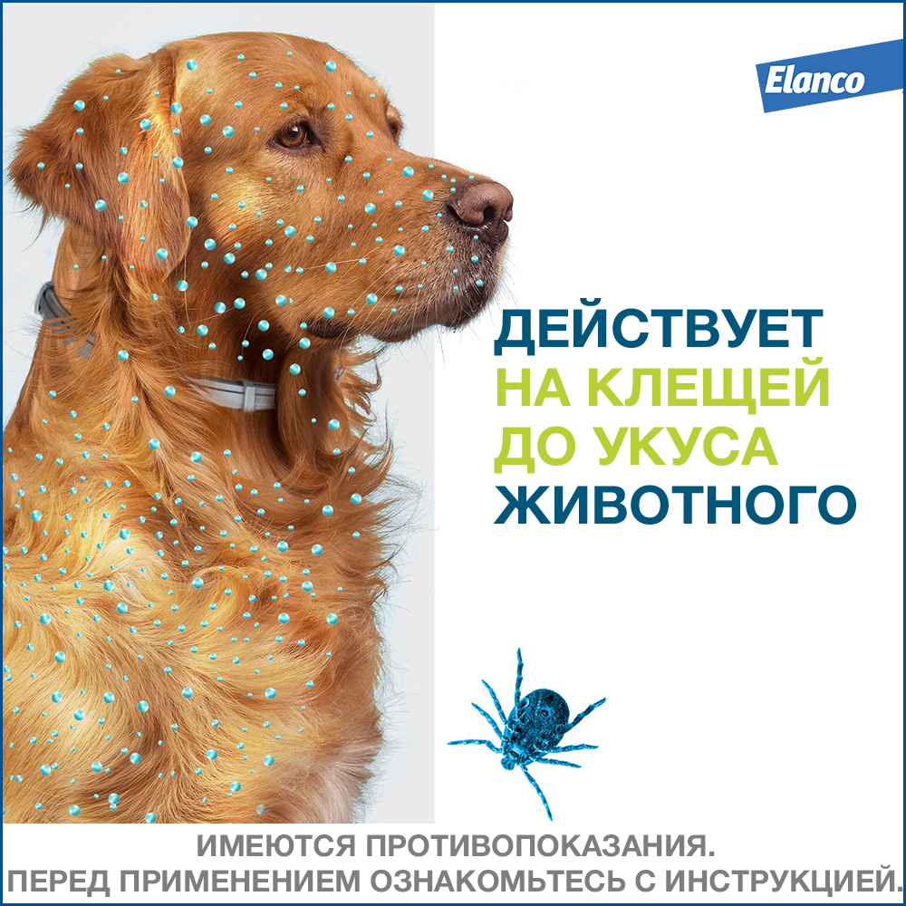 Ошейник Форесто для собак более 8 кг от блох и клещей 70 см, 1 шт