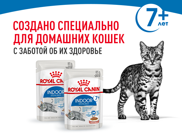 Влажный корм Royal Canin Indoor Sterilised 7+ для стареющих кошек постоянно живущих в помещении, в соусе 85 г