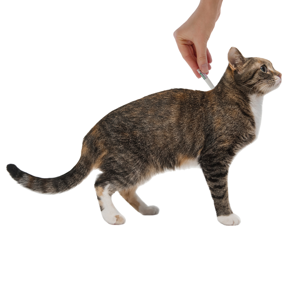 Адвантейдж капли на холку от блох для кошек более 4 кг - пипетка