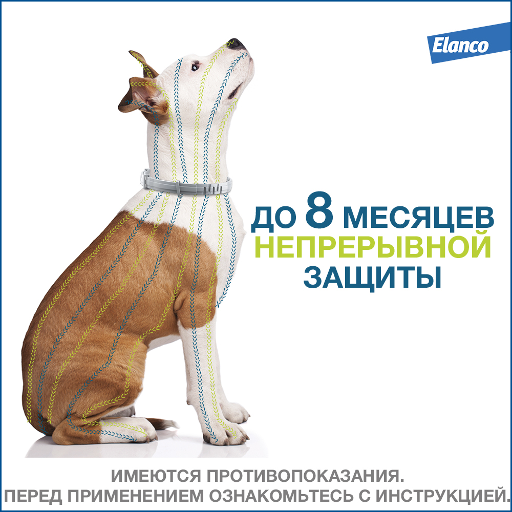 Ошейник Форесто для собак менее 8 кг от блох и клещей, защита 8 месяцев, 38 см
