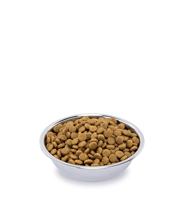 Корм сухой Nutro Grain Free для взрослых стерилизованных кошек, с курицей и экстрактом розмарина, 400 г