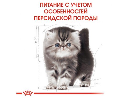 Корм сухой  Royal Canin Persian Kitten для персидских котят, 400 г