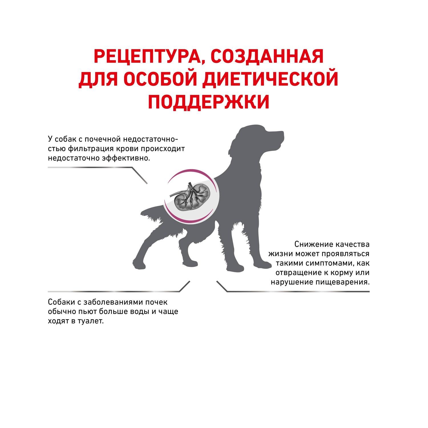 Корм сухой Royal Canin Renal для собак при хронической почечной недостаточности 2 кг