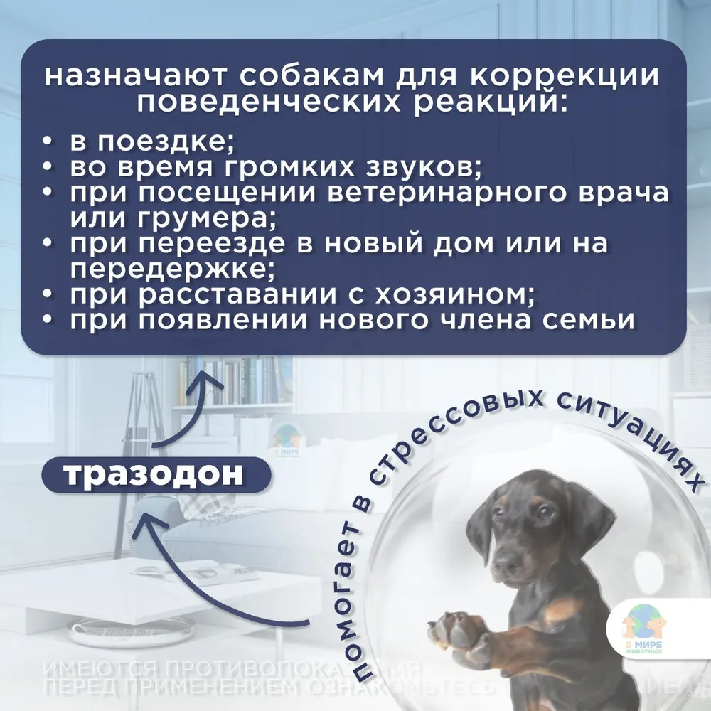 Таблетки Экспресс Успокоин для собак мелких пород, для коррекции поведения 6 таб