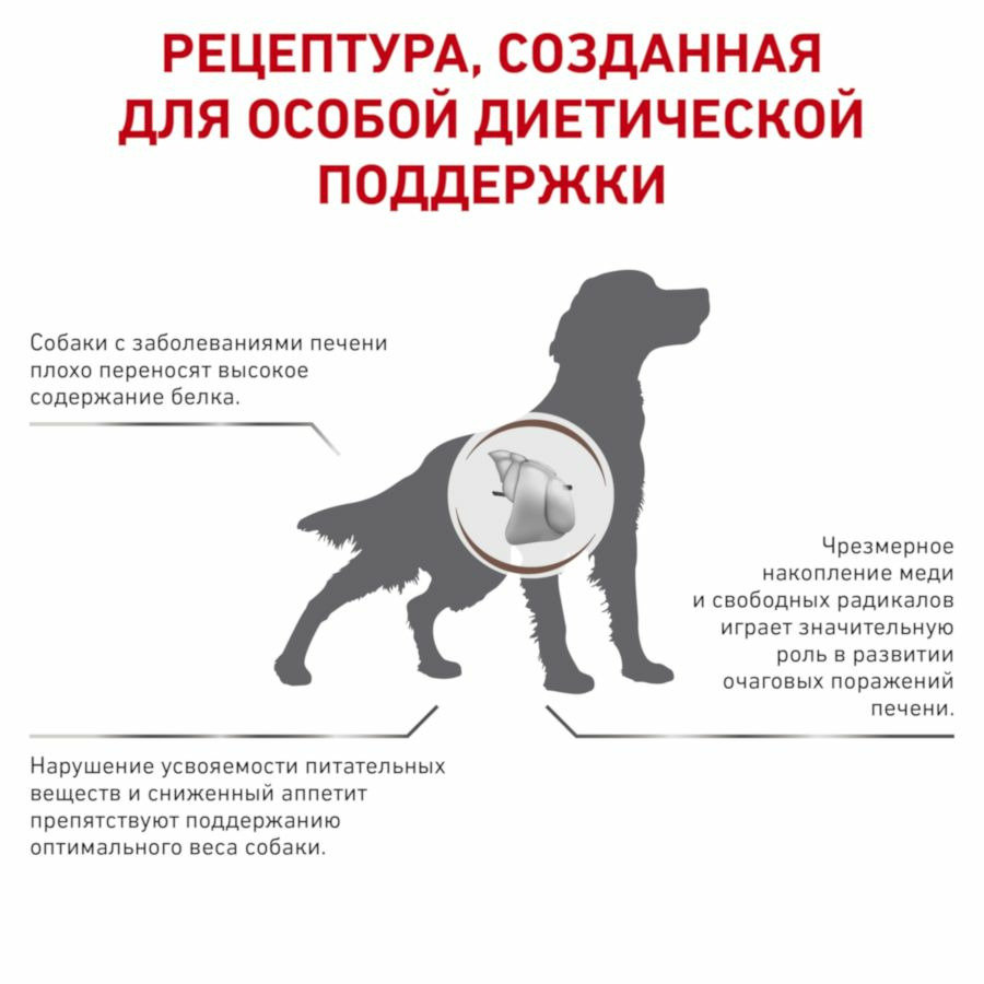 Корм сухой Royal Canin Hepatic для взрослых собак, для печени 6 кг