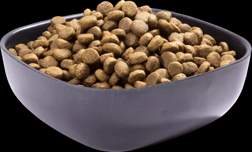 Корм сухой Crave для взрослых собак с говядиной и ягненком 2.8 кг