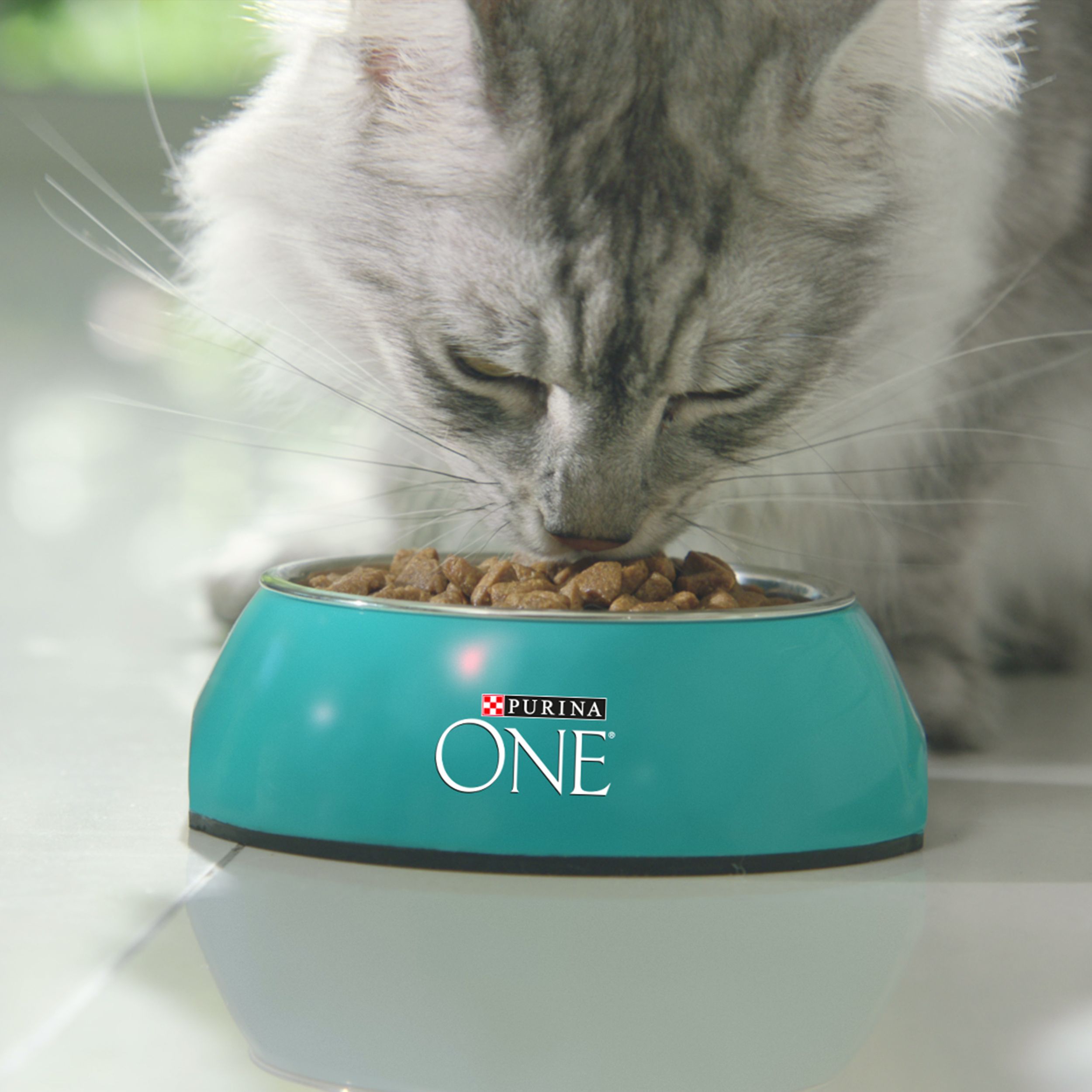 Сухой корм для домашних кошек Purina ONE с индейкой и цельными злаками, 3 кг