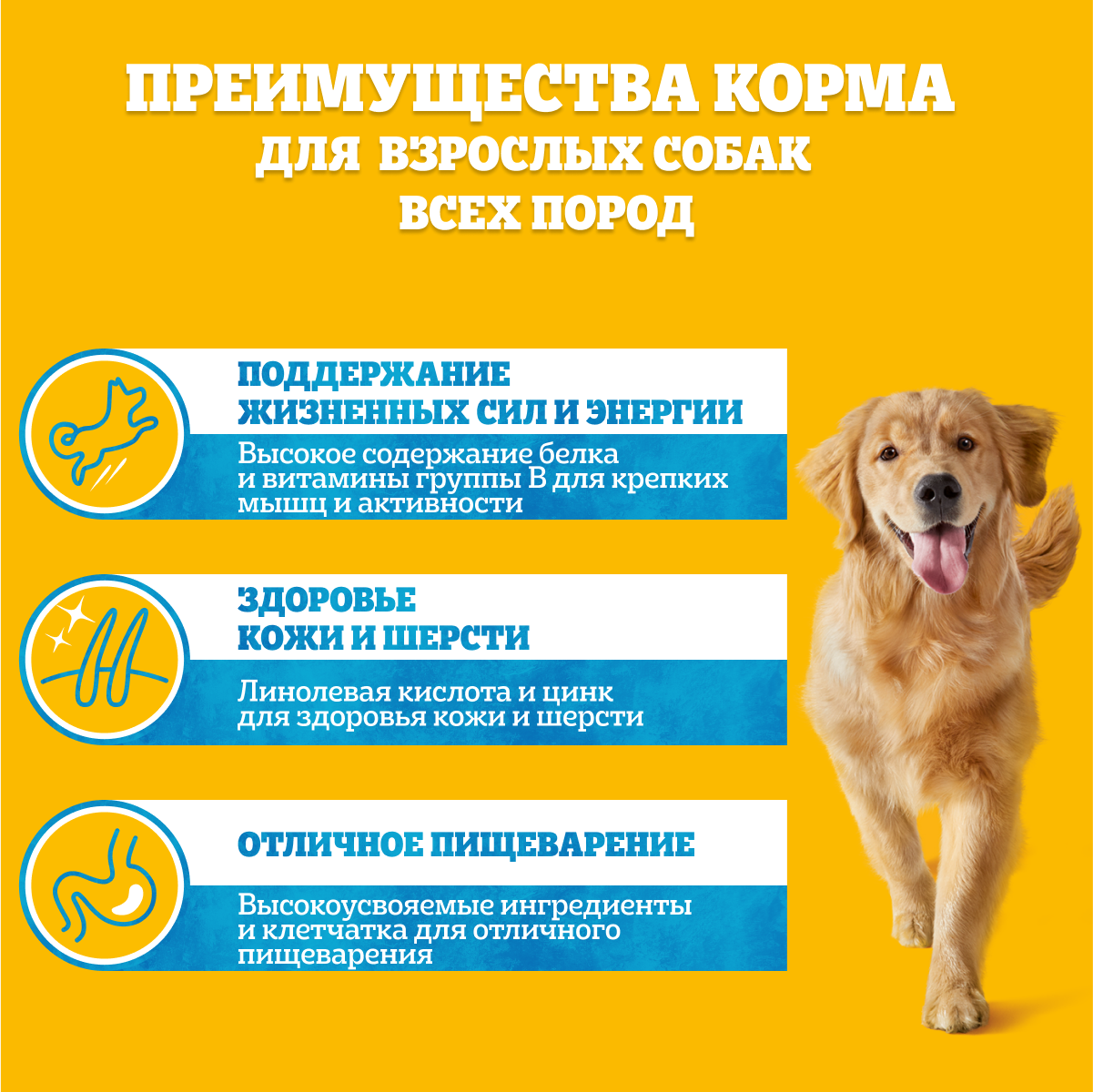 Влажный корм Pedigree для взрослых собак всех пород, с телятиной и печенью в желе, 85 г