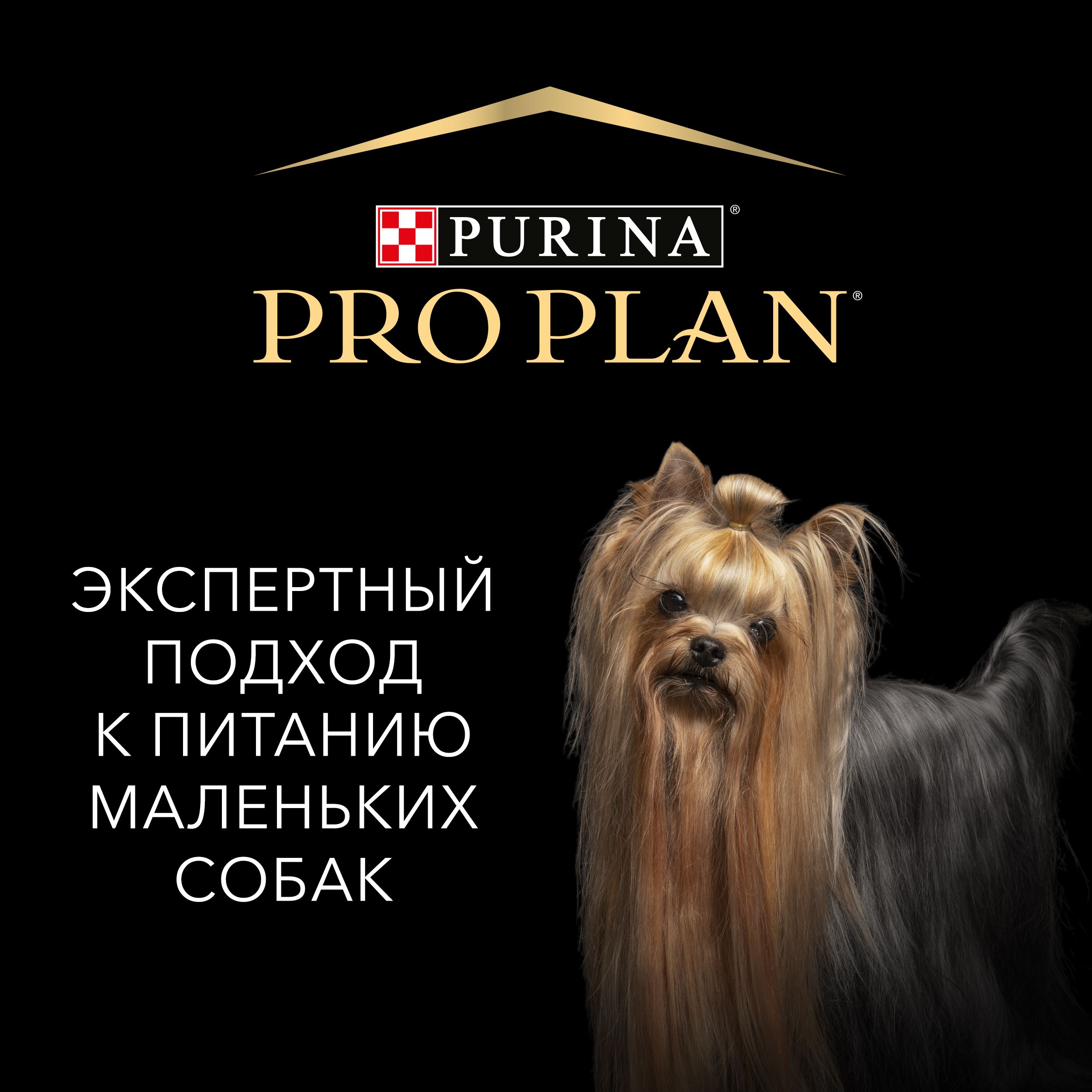 Влажный корм Pro Plan для взрослых собак мелких и карликовых пород, с говядиной в соусе, 85 г