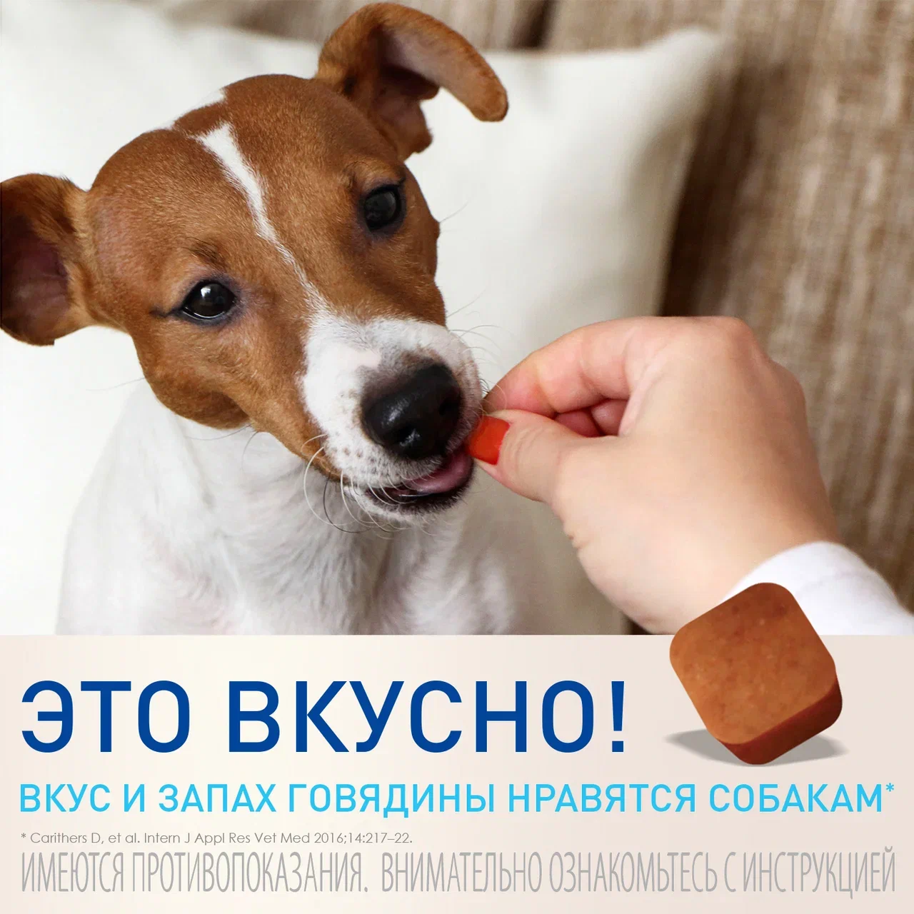 Таблетки Meria ФРОНТЛАЙН НексгарД для собак 25-50 кг от блох и клещей, 1 таблетка