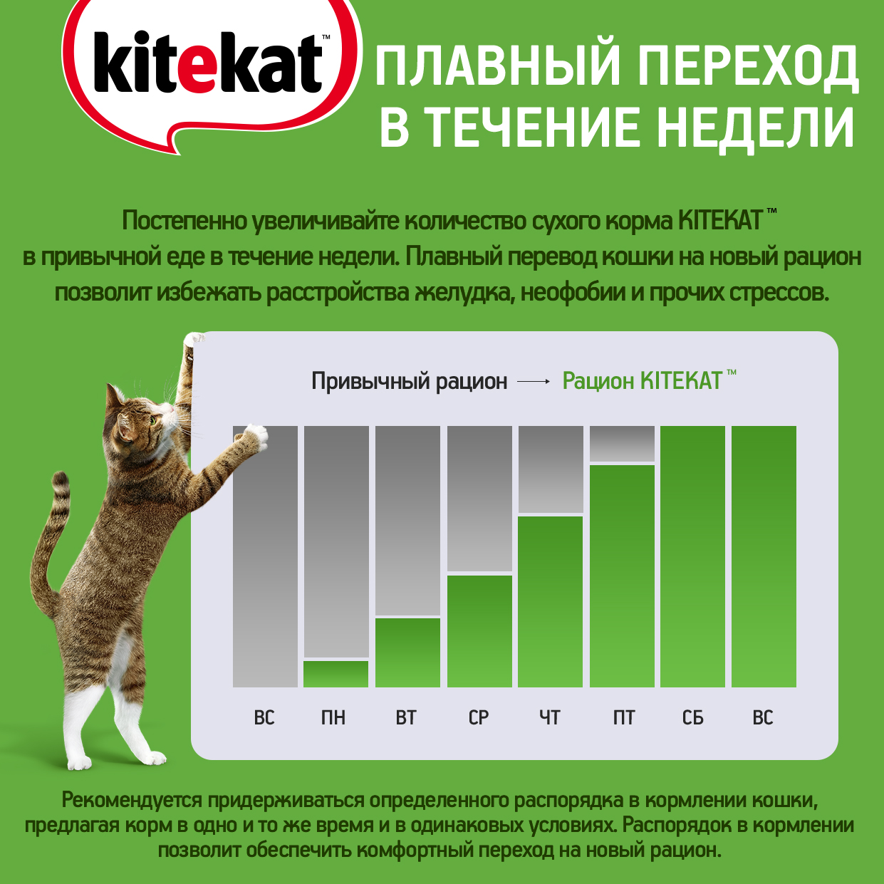 Влажный корм для кошек KITEKAT «Вкусная треска» с рыбой в соусе, 85г