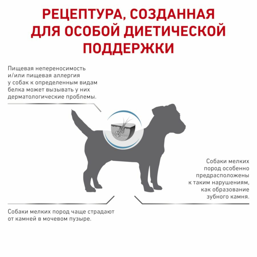 Корм сухой Royal Canin Hypoallergenic Small Dog для взрослых собак мелких пород, при пищевой аллергии 3,5 кг