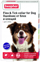 Ошейник для собак против блох, клещей Beaphar фиолетовый, 65 см