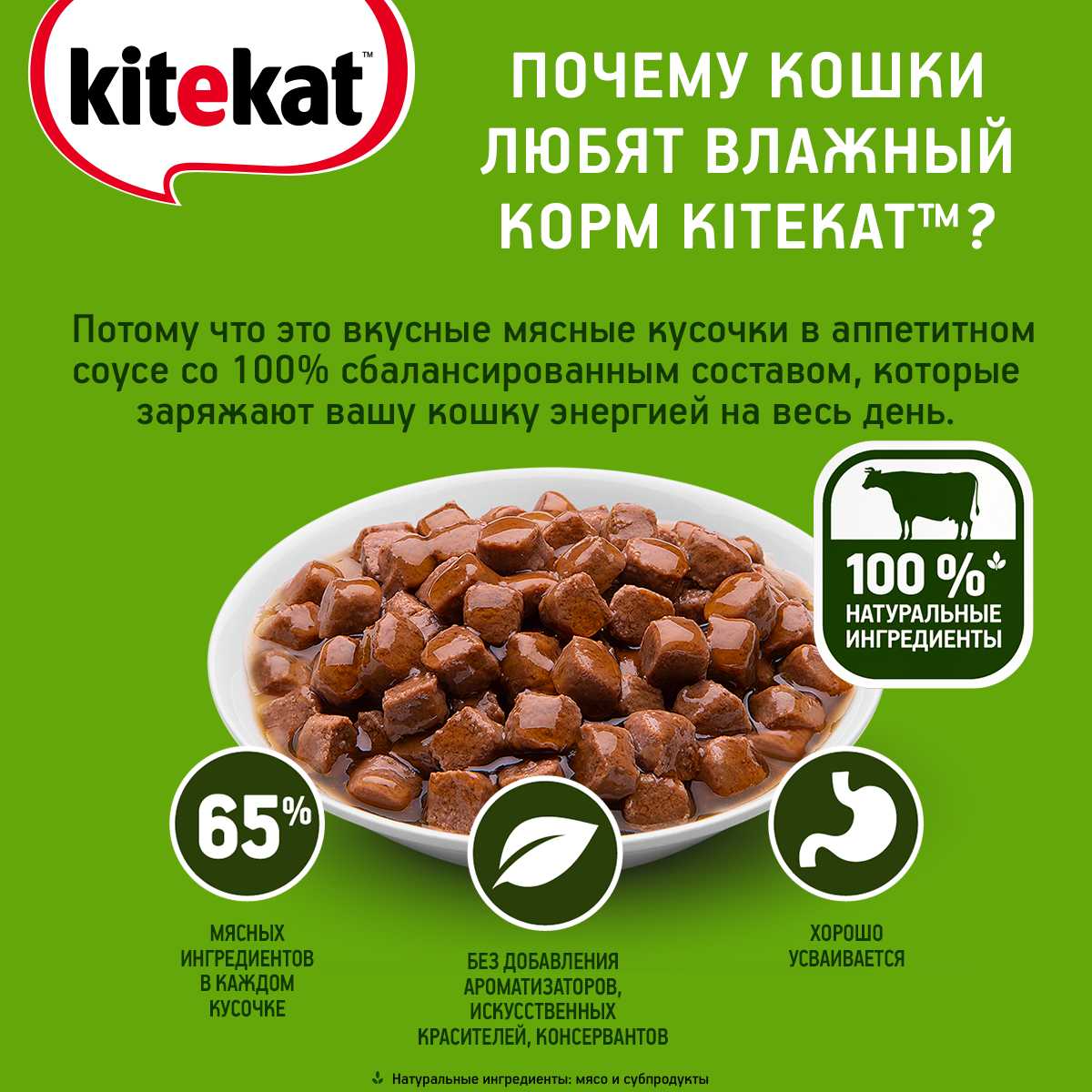 Влажный корм Kitekat для взрослых кошек, с говядиной в соусе, 85 г