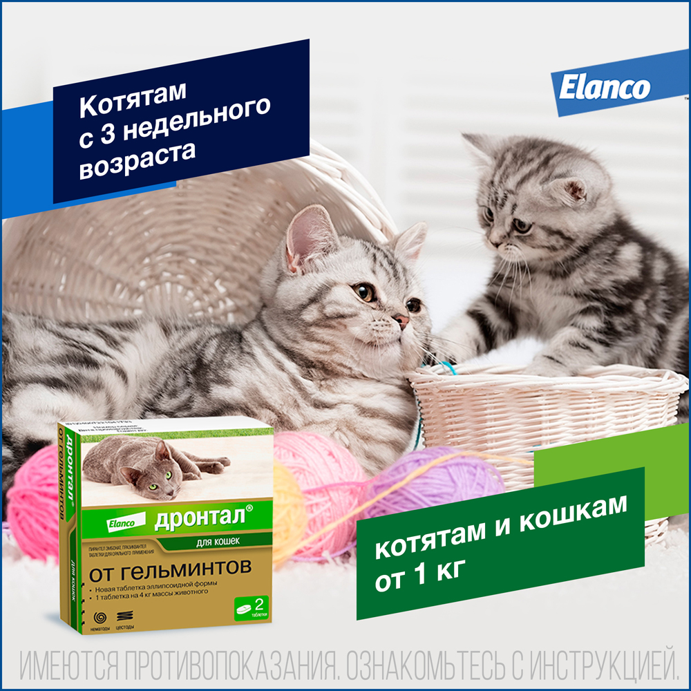 Таблетки Дронтал для кошек от гельминтов, 2 таблетки