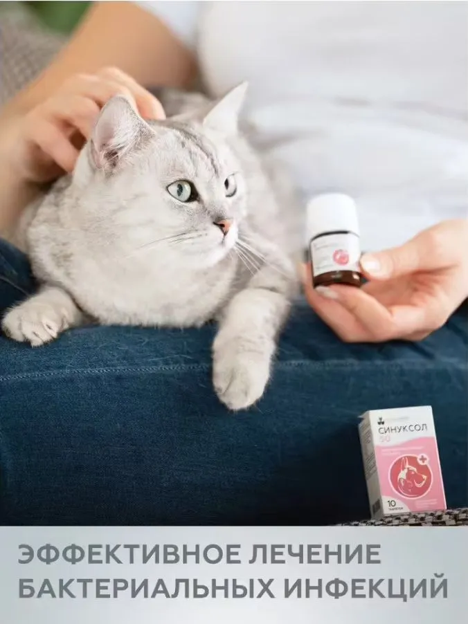 Синуксол таблетки 50 мг антибактериальный препарат для кошек и собак 10 шт