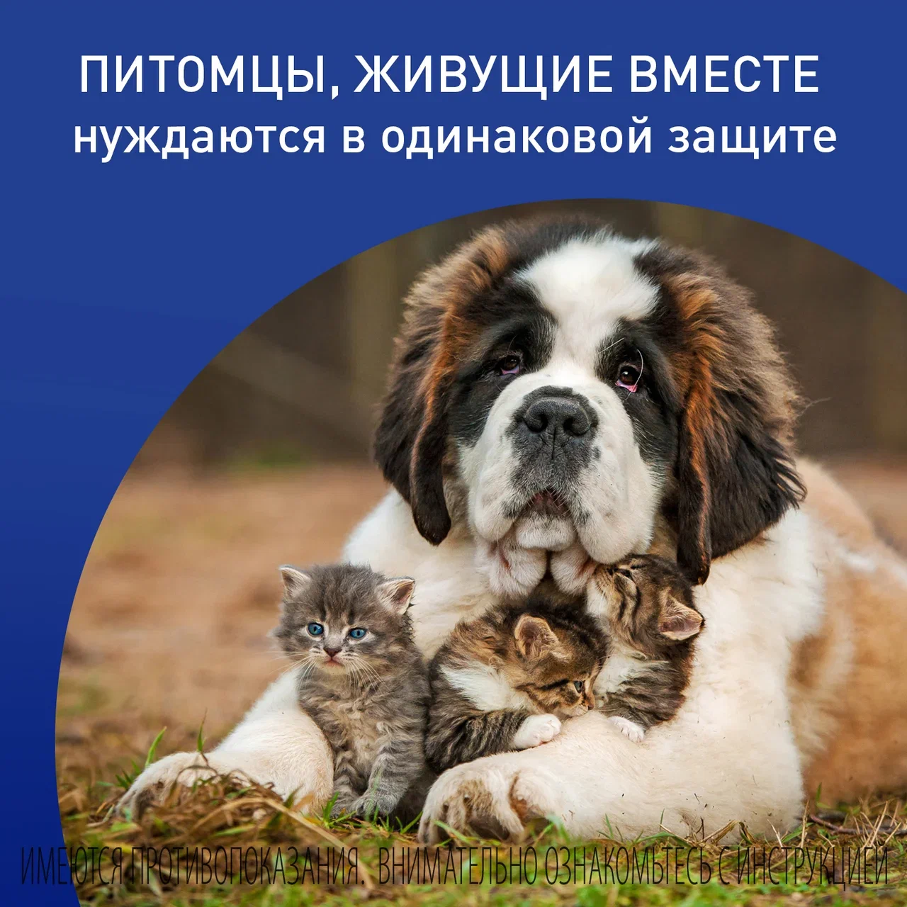 Спрей Фронтлайн для защиты собак и кошек от клещей и блох 100 мл 