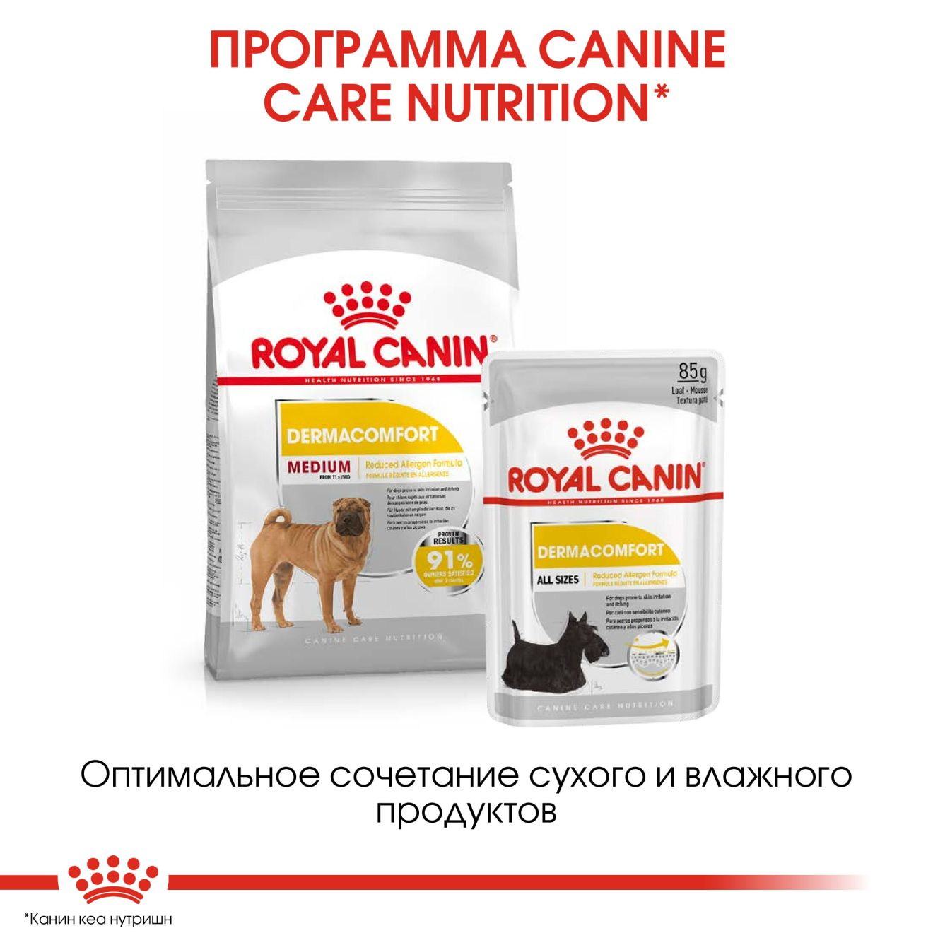 Влажный корм Royal Canin Dermacomfort для взрослых собак, при раздражениях и зуде кожи,  (в паштете), 85 г