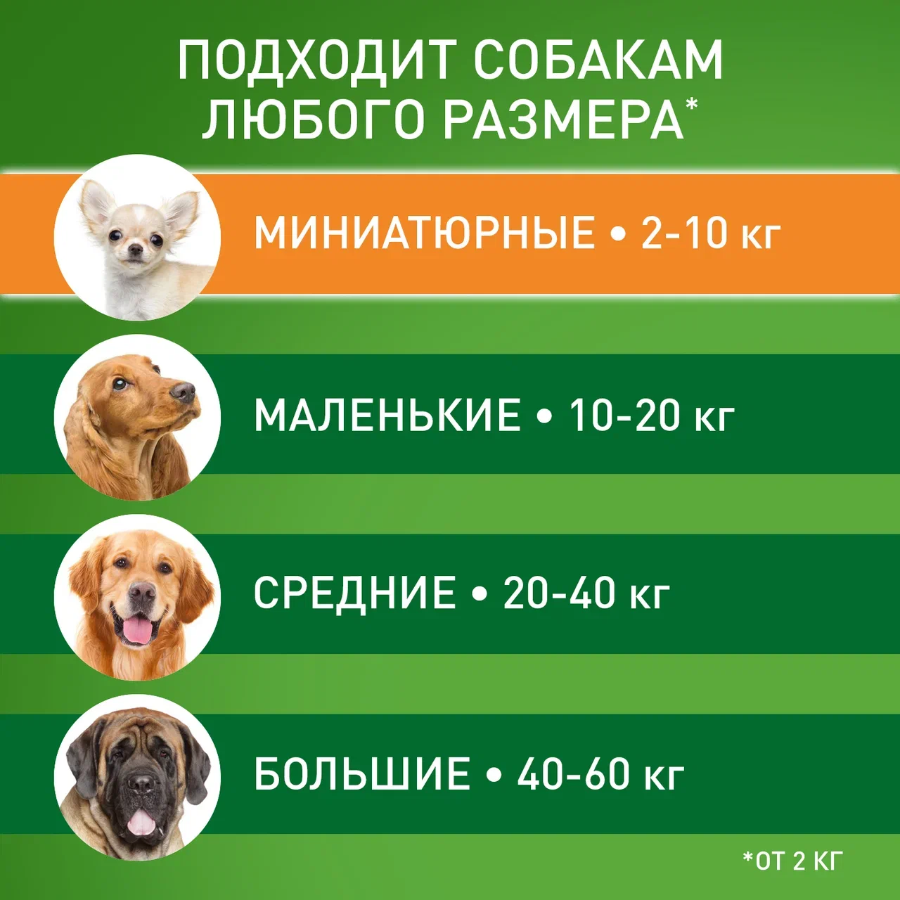Капли на холку Фронтлайн Комбо для собак 2-10 кг (S) для защиты от клещей, блох 1 пипетка