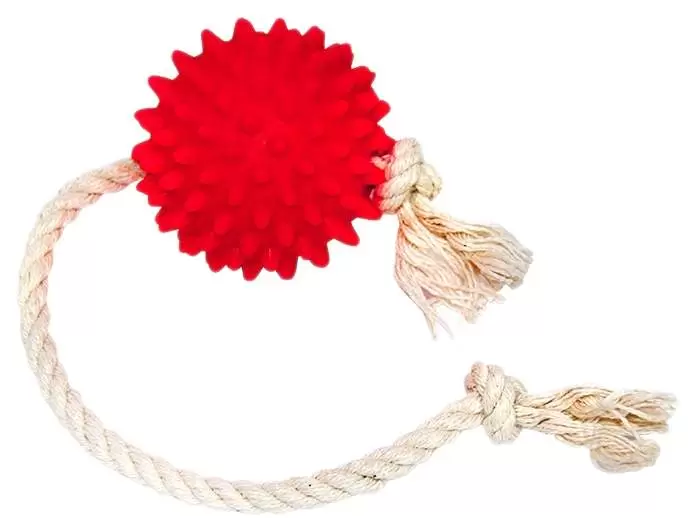 Игрушка для собак Зооник Мяч на веревке, в ассортименте 27 см