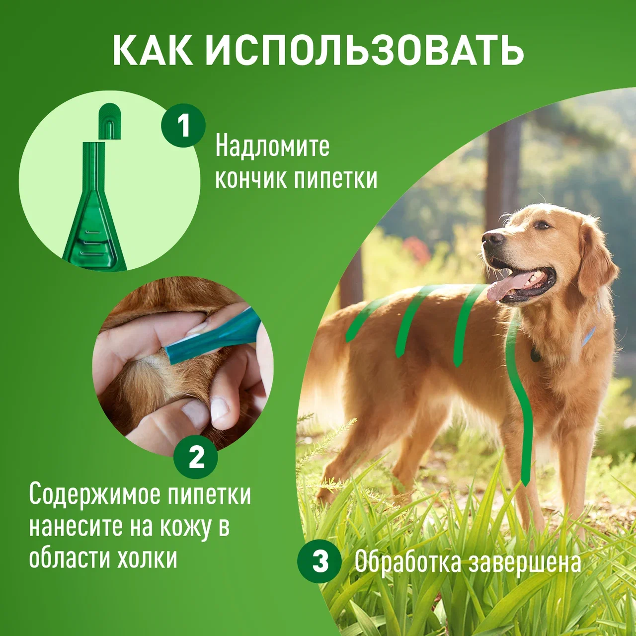 Капли на холку Фронтлайн Комбо для собак 2-10 кг (S) для защиты от клещей, блох 1 пипетка