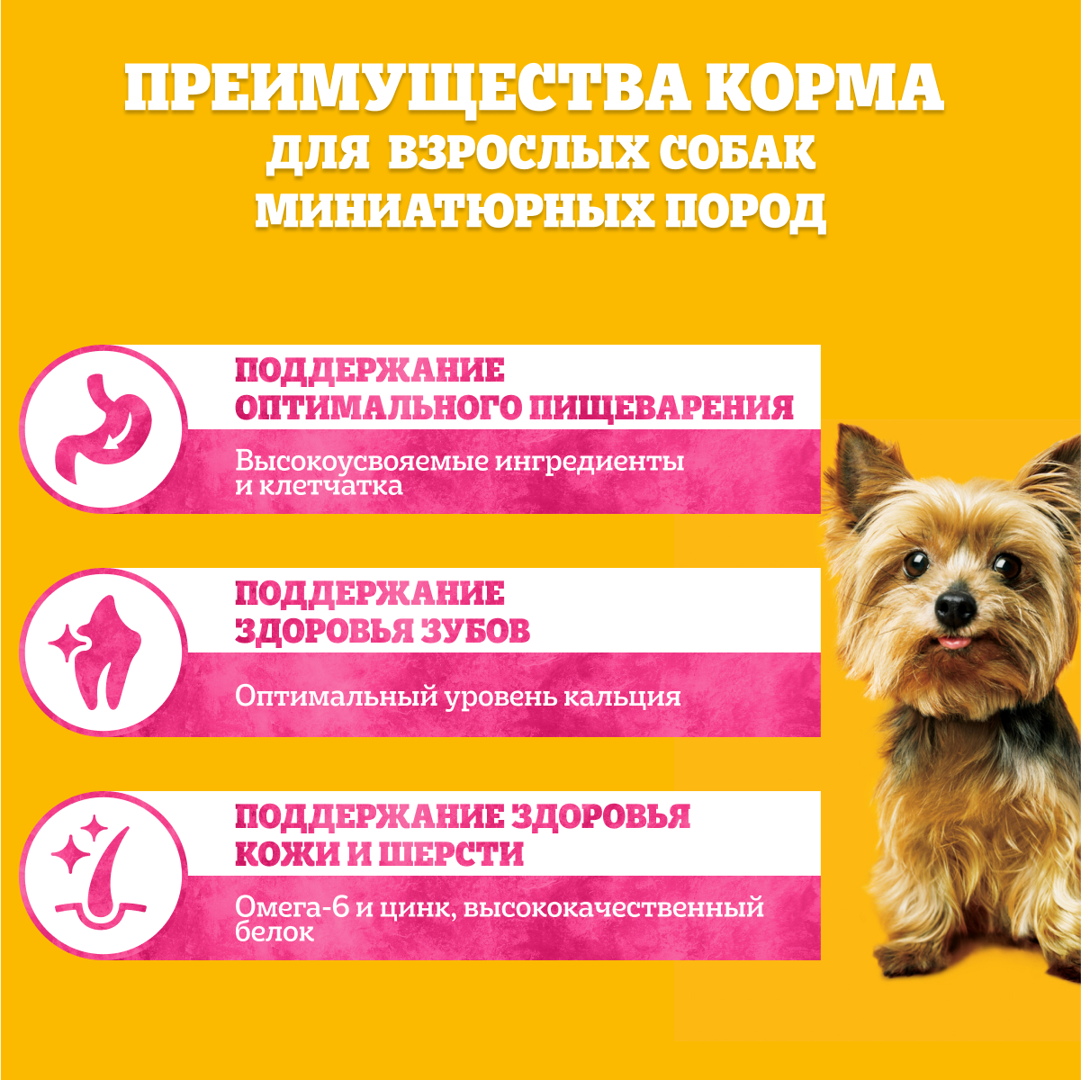 Сухой корм  для собак миниатюрных пород PEDIGREE Adult Mini с говядиной, 1.2кг