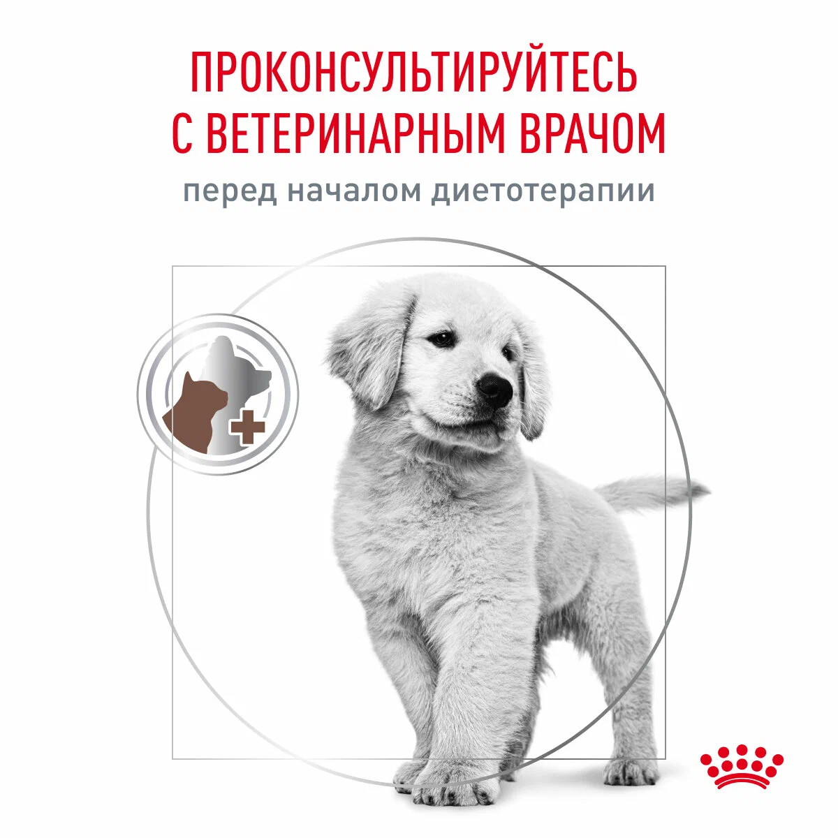 Корм сухой для щенков Royal Canin Gastrointestinal Puppy при острых расстройствах пищеварения 2,5 кг